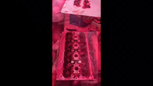 Volkswagen Golf 4 1.4 AKQ порвался ремень ГРМ