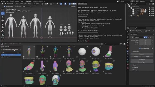 Free Human Base Meshes For Blender 3.6