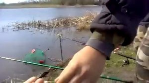 Рыбалка на карася в Тольятти видео отчет 2