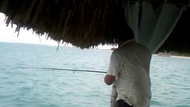 Fishing in Cuba Catching Bait Melia Hotel Pier Cayo Guillermo смотреть онлайн
