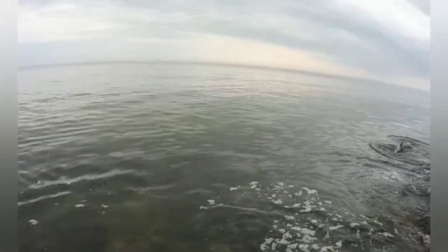 Экшн камера EKEN H6s. Съёмка под водой. Обзор моей экшн камеры.