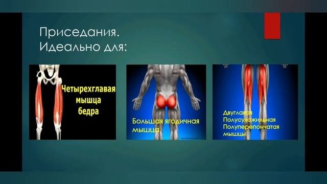 Упражнения на развитие силовых качеств