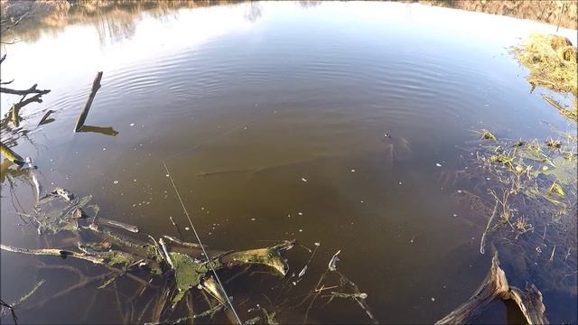 про рыбалку 02 смотреть онлайн