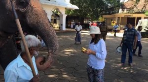 Шри Ланка , Хиккадува,Шри Ланка отдых,Хиккадува Шри Ланка,Пик Адама