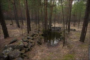 Жуткие крики, как вопль из ада... Я один это слышу?