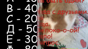 Тест "Какое ты животное"