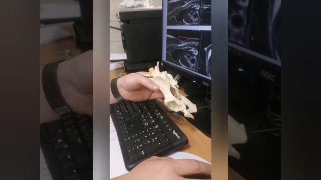 История спасения котёнка Вьюги. смотреть онлайн