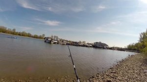 [Let´s Fish] #002 Angeltag am Rhein