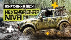 #Убиваем Ниву Бронто. Покатушки в лесу