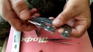 Китайский крючковяз с алиэкспресса