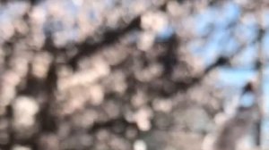 зима-весна.mp4