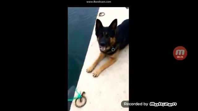 Siktir git lan !!! смотреть онлайн