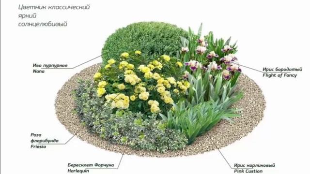 СХЕМА КЛУМБЫ СОЛНЦЕЛЮБИВЫЙ смотреть онлайн