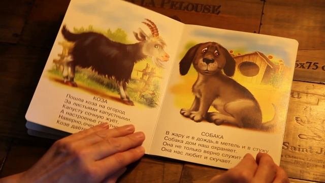Детская книжка/ Развивающая книжка для малышей 