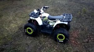 Обзор детского квадроцикла WILD 125 и WILD 150 от компании Скутер-НН