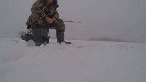 ЛОВЛЯ ЩУКИ НА ПОСТАВУШКИ И СУДАКА НА МАЛЬКА. 6.01.20.