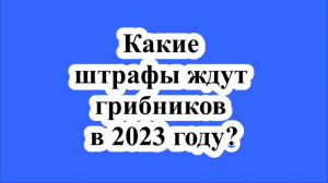 Какие штрафы ждут грибников в 2023 году?