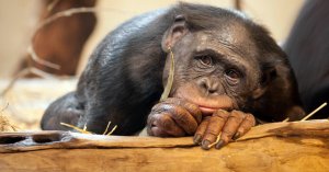 2 Уныние и отчаяние