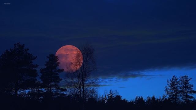 Размышления • Расслабляющая, мирная и красивая музыка для сна смотреть онлайн