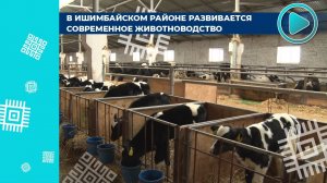 В КФХ с. Скворчиха идёт строительство новых корпусов для содержания телят