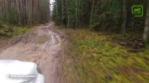 Pulsar Trail установка и пристрелка на карабине вепрь 308 супер.