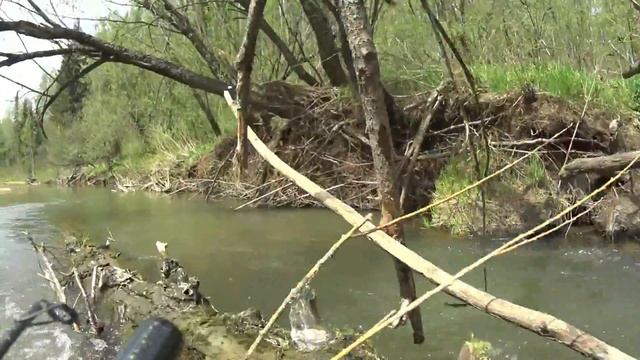 Вело-водный поход выходного дня. Кемерово, трасса Осиновка-Мурюк, р.Барзас,  д.н.Суета , Кемерово смотреть онлайн