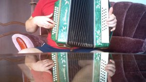 Гражданская оборона Всё идёт по плану на гармони