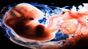 Желточный мешок при беременности: таблица нормальных размеров по неделям на ранних и поздних сроках