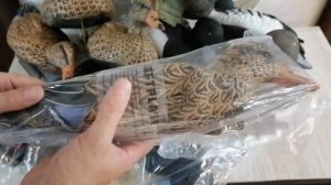 Чучела уток Softplast (NorthWay)