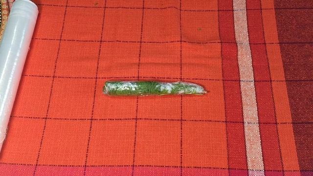 Заготовка морковной ботвы на зиму ??????????