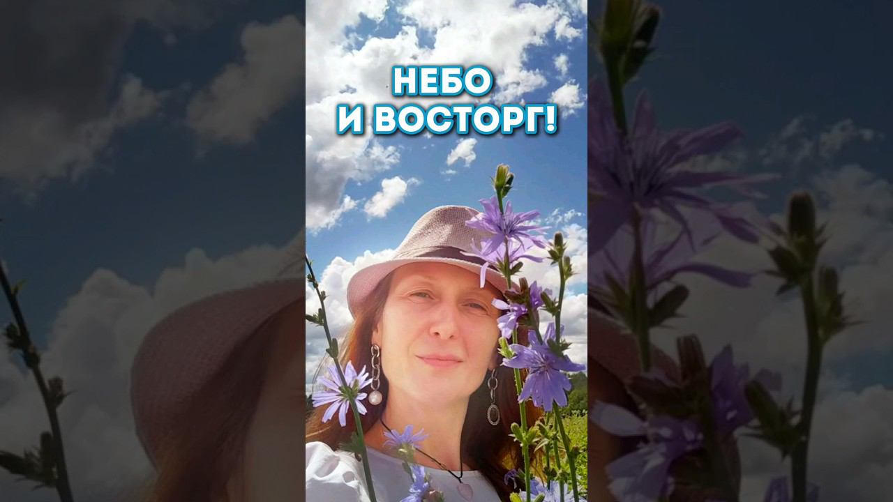 Небо и восторг!