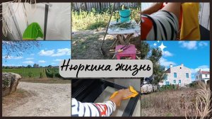 Поездка в лес // Эффективная уборка // Убираем огород // Кубань в сентябре