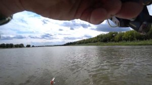 Рыбалка в Астрахани. Река Ашулук. Окунь, Судак, Щука. Часть-2