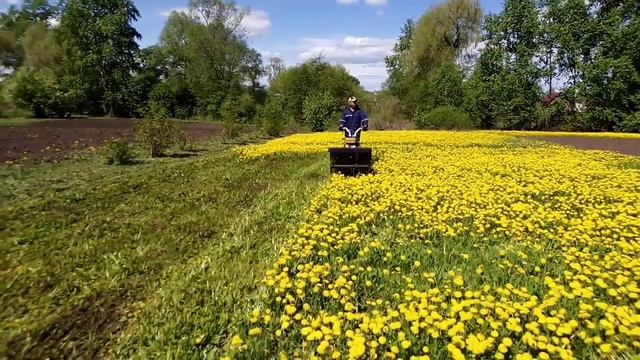 Мульчер.Борьба с одуванчиками смотреть онлайн