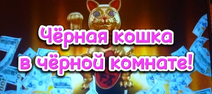 Черная кошка в темной комнате!