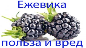 Ягода для ума и тела! Польза Ежевики для улучшения функции мозга и физического  здоровья!