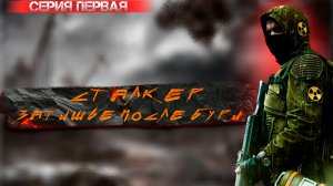 STALKER: Затишье после бури #1