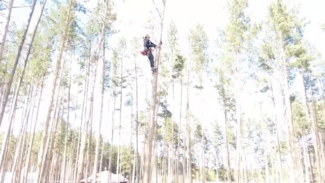 Удаление опасного дерева. смотреть онлайн