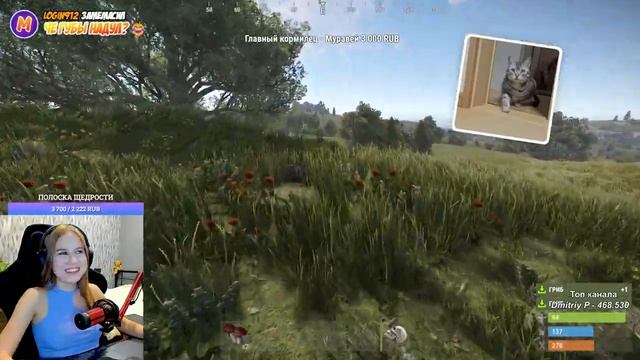 RUST Стрим! Доброе выживание у ВОДЫ в РАСТ! Соло игрок против целого сервера! смотреть онлайн