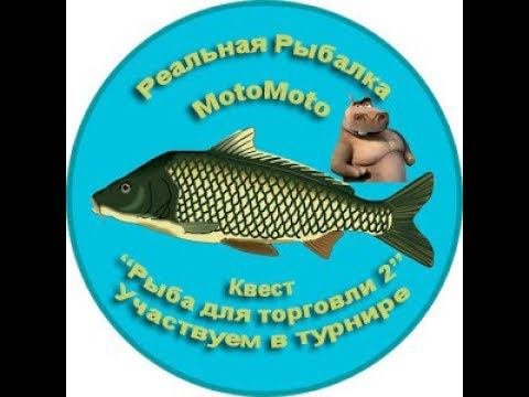 Квест 