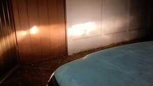 Led 3000k в ближний свет Шеви нива.