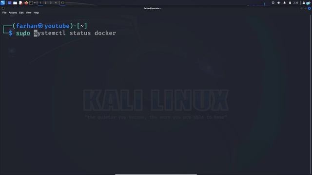 How to Install DOCKER on Kali Linux смотреть онлайн