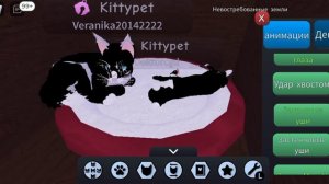 коты  ваители, крууууто  играть