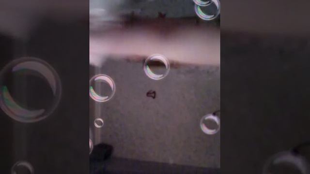 Я не хочу где петь танцевать смотреть онлайн