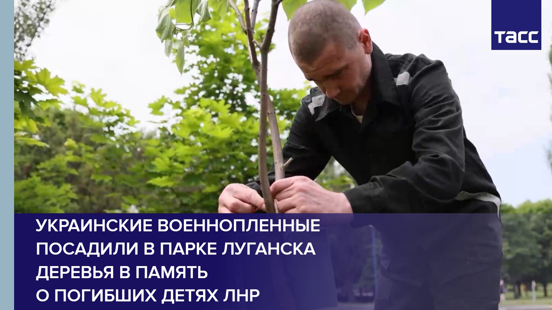 Украинские военнопленные посадили в парке Луганска деревья в память о погибших детях ЛНР