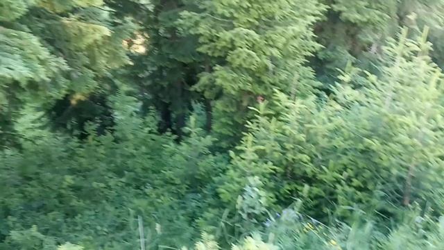 Жизнь в деревне. Ремонт школы. Красивый вид на речку.