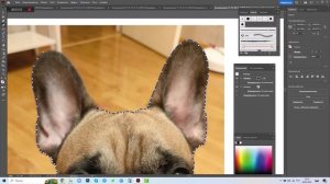 СОЗДАЕМ СТИКЕР из Фотографии. УРОК В ADOBE ILLUSTRATOR