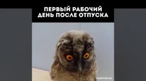 Первый день после отпуска....