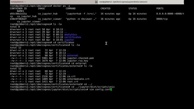 Cognos Notebooks install - Part 2 (Securing the Jupyter Server)