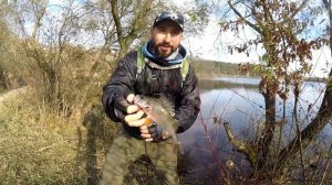 Вся рыба на одну приманку! Ловля крупного окуня на озере поздней осенью. Favorite Team.